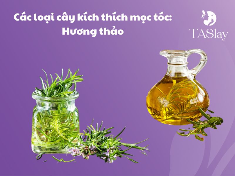 Các loại cây kích thích mọc tóc